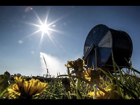 ბრძოლა კორუფციას და კორონავირუსთან - „კვირა კავკასიაში“ JAMnews-ისგან, 4-9 მაისი, 2020
