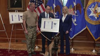 K9 Rocky and handler honored for bravery during deadly shootout