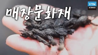 땅에 묻힌 역사, 매장문화재 / YTN 사이언스