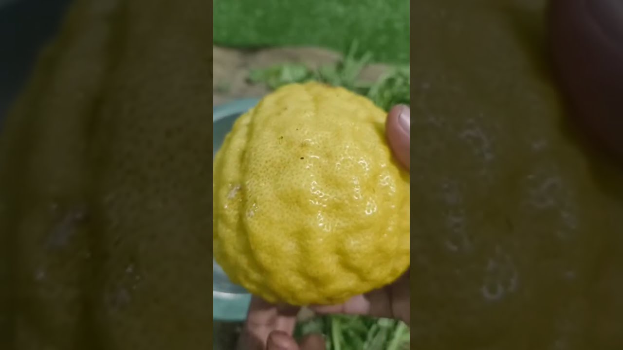 பிரண்டை சுத்தம் செய்தல்..பிடாரங்காய் ஊறுகாய்