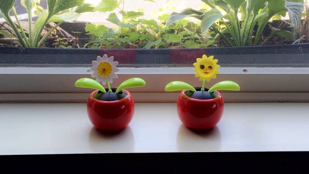 Rock N Bloom Dancing Solar Flowers