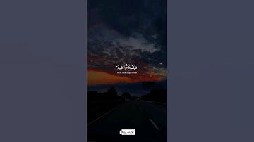 تلاوات مباركة | قران كريم تلاوة هادئة قرآن كريم #قران_كريم #تلاوة_خاشعة #اكتب_شي_تؤجر_عليه #quran