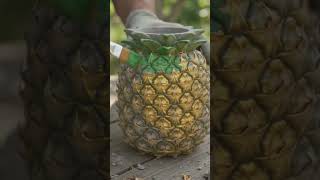 DIY Pineapple Concrete Flower Pot! 🍍🌸#concretecrafts #pineappleplanter #diy #gardenideas #cementart