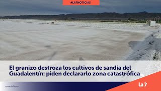 El granizo destroza los cultivos de sandía del Guadalentín: piden declararlo zona catastrófica | La7