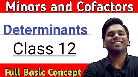 Exercise 4.4 Chapter 4 Determinants Class 12 Maths Ncert || Minors and Cofactors  || Ravi Sir ||