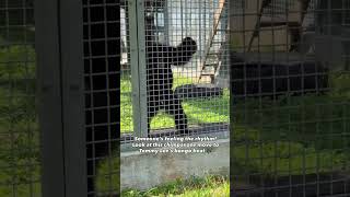 Tommy Lee Rocks Out For a Chimp Rescued From a ‘Tiger King’ Zoo 🥁🐒