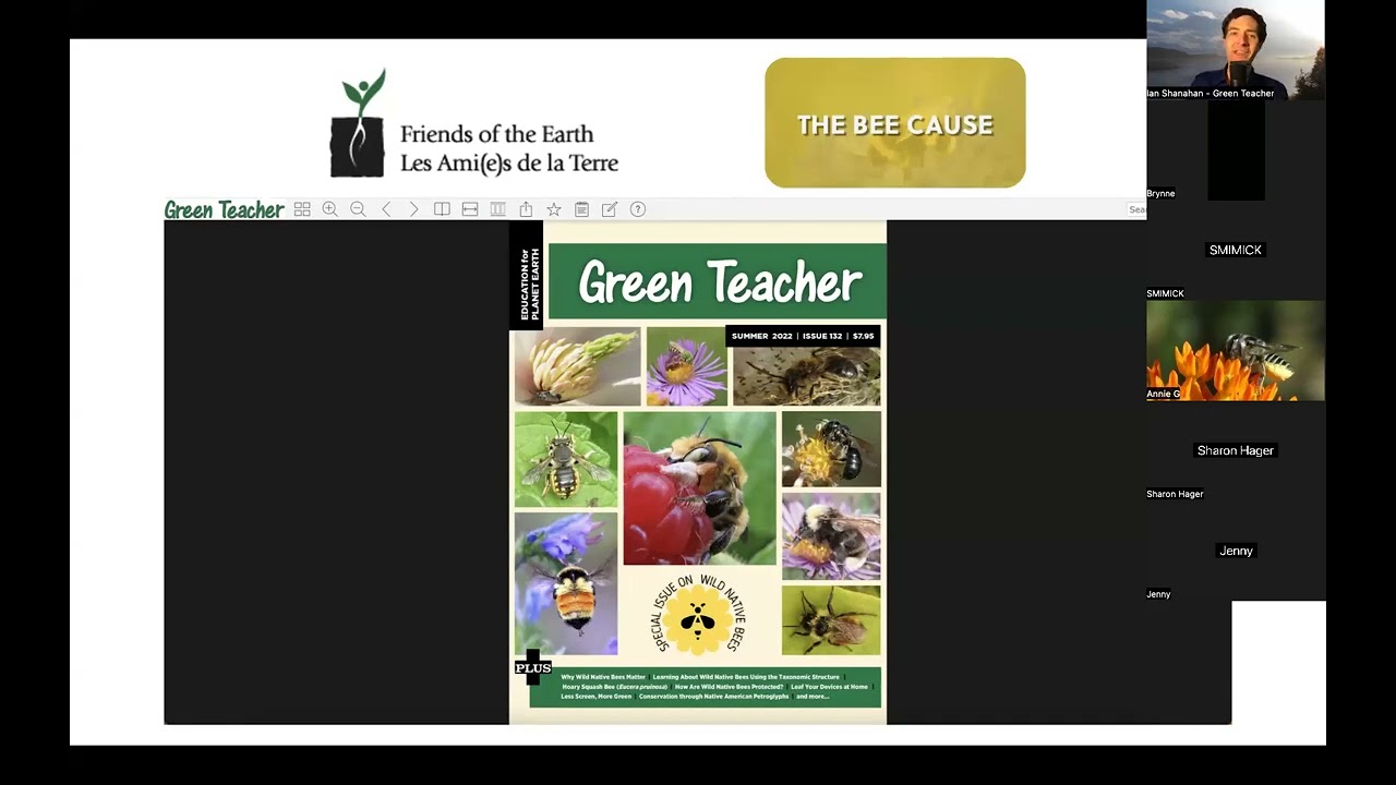Tips for Teaching about Bees and Other Native Pollinators