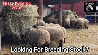 Discover Our Process For Finding Quality Breeding Stock!