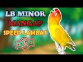 Terapi Suara Lb Minor Cepat Bikin Konslet Mangap Mp3 - Mp4 Download
