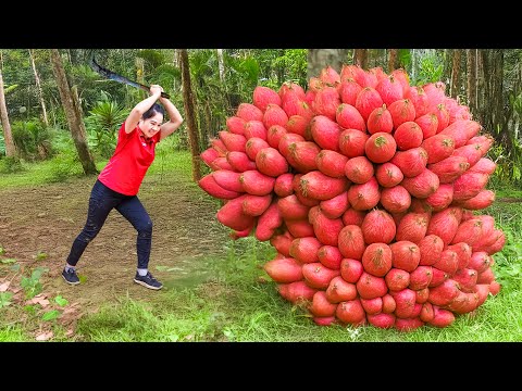Rescue the Anaconda Yam Tuber : Harvesting Yam &amp; Go to Market Sell | They have the shape of pythons