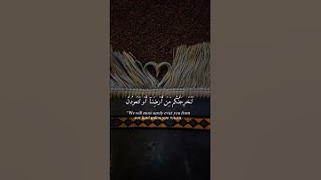 تلاوة هادئة ومريحة للقارئ - إسلام صبحي 🤍📿#قرآن