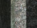 This Is Why We Hunt