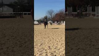 Kaabond - RRP Jumper Flat Test