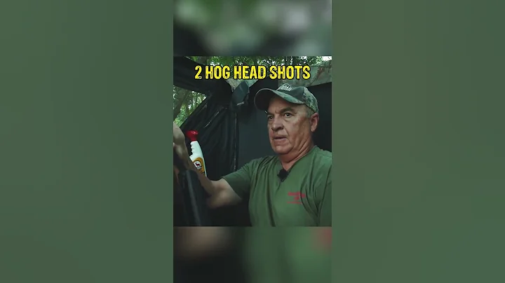 TWO Headshots on Hogs with GAMO Air Rifle