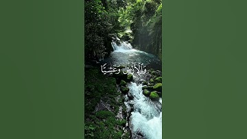 ترتيل نادر للشيخ المنشاوي | تلاوة خاشعة تهز القلوب