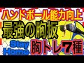 【ハンドボール能力向上】自宅で最強の胸板を作る胸トレ7種類！胸の自重トレーニングを紹介！