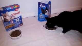 Felix Crunchy & Soft Produkttest Die Insider - Erstkontakt