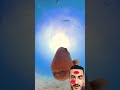شاهد ماذا فعلت هذه السمكة مع الكاميرا Shorts