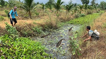 Hàng Khủng Nằm Trong Mương Sâu Múc Lâu Năm | Xiệt Cá Miền Tây | Catch Fish