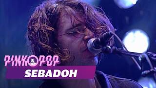 Sebadoh - Full Concert [HD] | Live at Pinkpop 1999