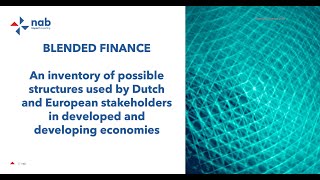 Blended Finance Webinar by the Netherlands Advisory Board on impact investing