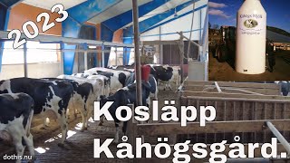 Kosläpp Kåhögsgård i Partille