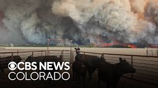 Colorado ranchers rush to save livestock as Aspen Acres Fire pushes south