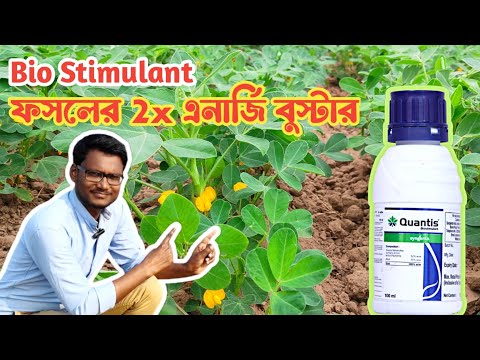 Quantis | বায়ো স্টিমুল্যান্ট কি? কখন প্রয়োগ করবেন আর কি উপকার পাবেন❓