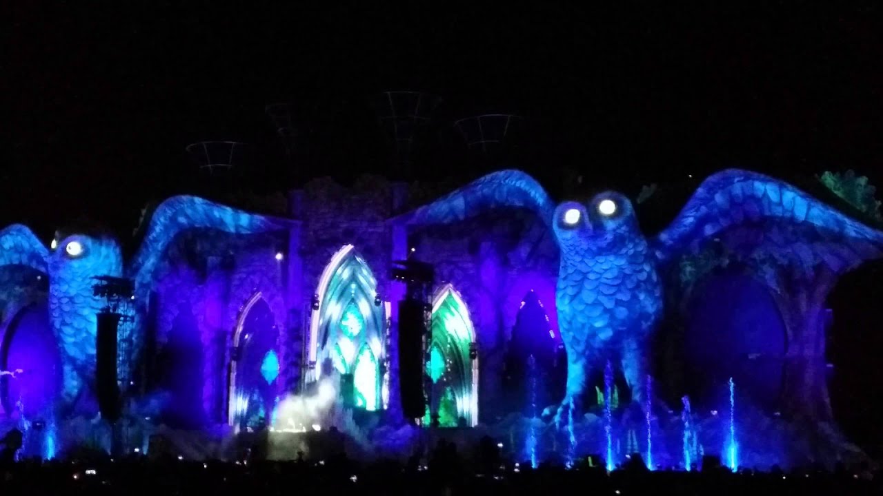 Bad Dave Bad - David Guetta at EDC 2015 Mexico City 4K - YouTube