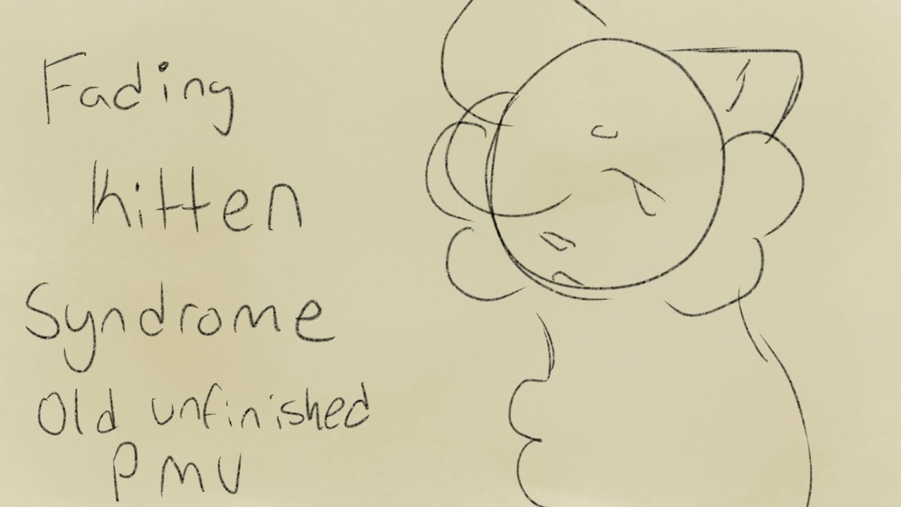 Fading Kitten Syndrome OLD UNFINISHED Warrior oc pmv