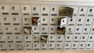 Give Me A Minute To Explain Why UCSD Mailboxes Are Bad