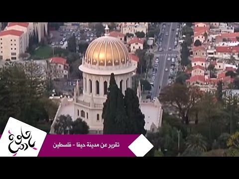 حلوة يا دنيا - تقرير عن مدينة حيفا - فلسطين