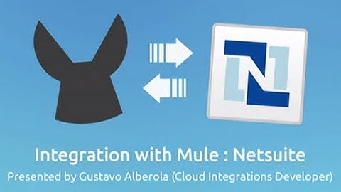 Netsuite Connector Demo | Integration with Mule