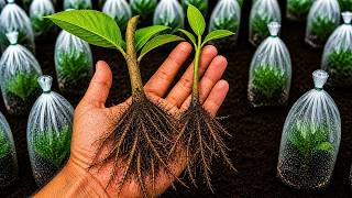 Root Any Cutting FAST With This Simple Trick (It Actually Works)