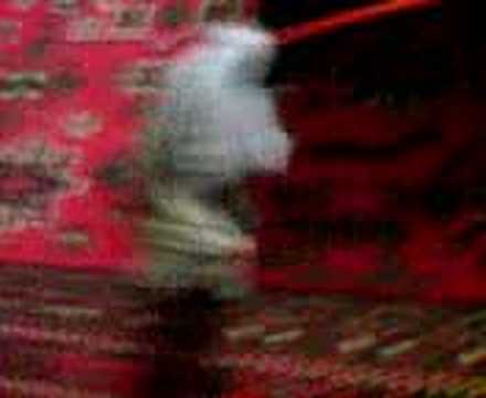 Watch the video about Asian Leopard Cat playing