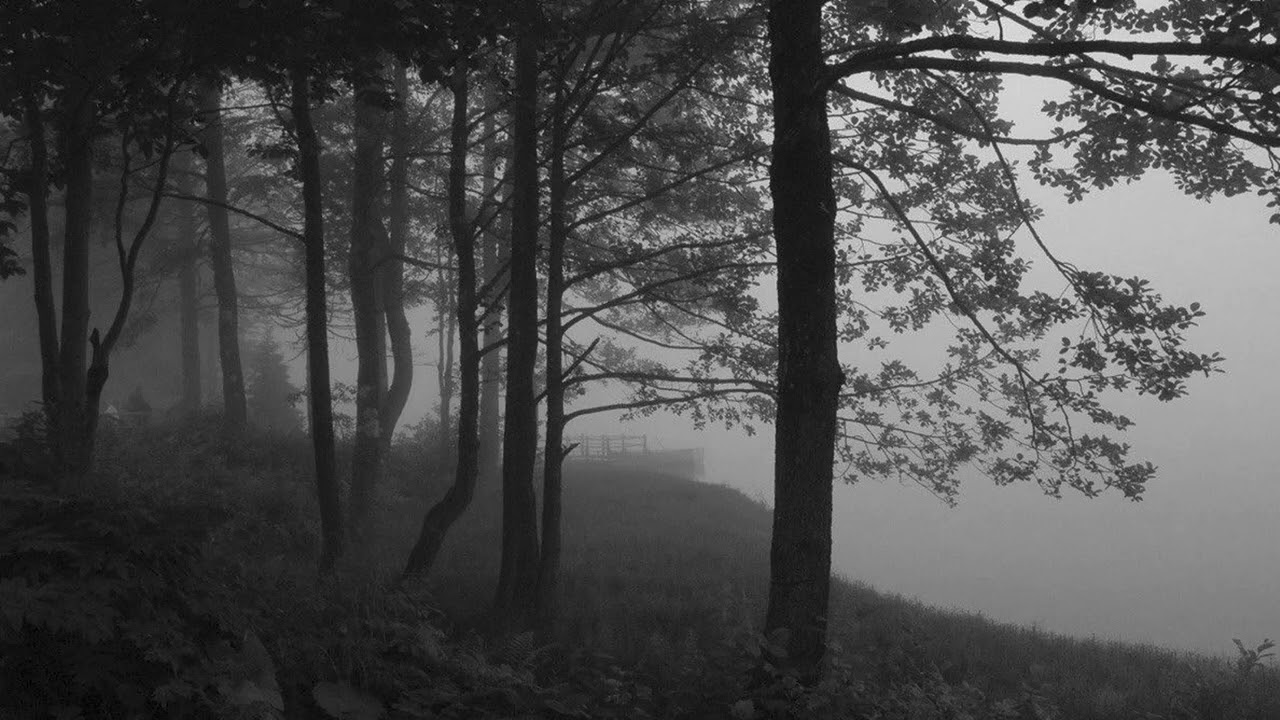 metallica - nothing else matters // slowed + reverb