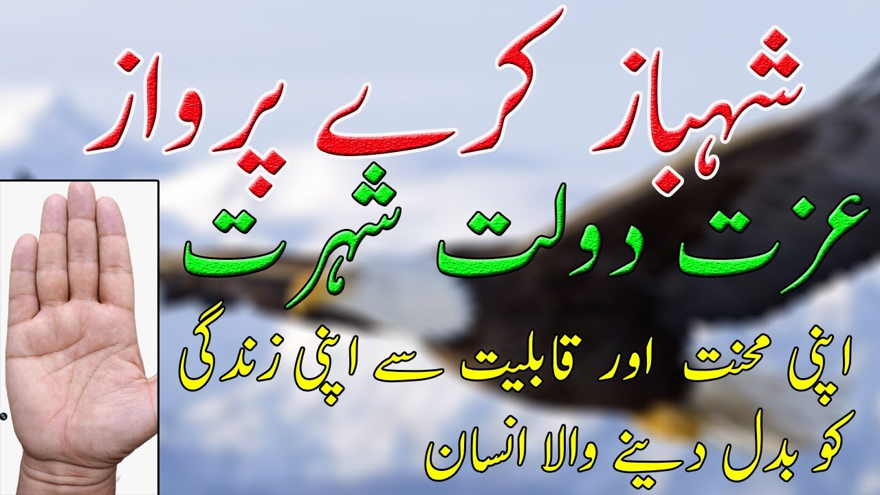 MONEY WEALTH NAME FAME IZAT DOLAT SHOHRAT APNI MEHNAY AUR QABLIYAT 