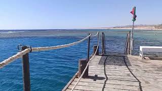 видео: Марса Алам Sirena Aqua Park Beach Resort 5* чи Fantazia Aqua Park Beach Resort 5*? Де кращий пляж? картинка: Марса Алам Sirena Aqua Park Beach Resort 5* чи Fantazia Aqua Park Beach Resort 5*? Де кращий пляж?