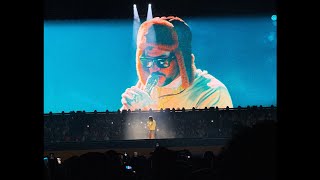 Free Bad Bunny Type Beat - Liberate