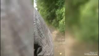 My first Blog #comedy  cycle tour JUNPUT#vlogger jaunut see