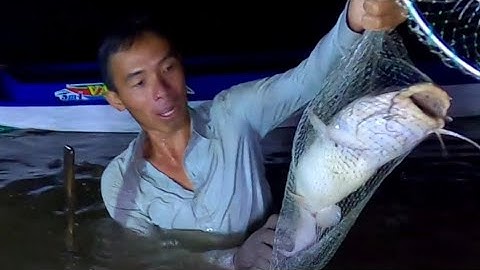 Bắt Cá Ngát Cùng Sự Giao Lưu Của Mấy Anh Em /Tân Nhà Bè /Cận Miền Tây /Đạt Nguyễn Cần Giờ