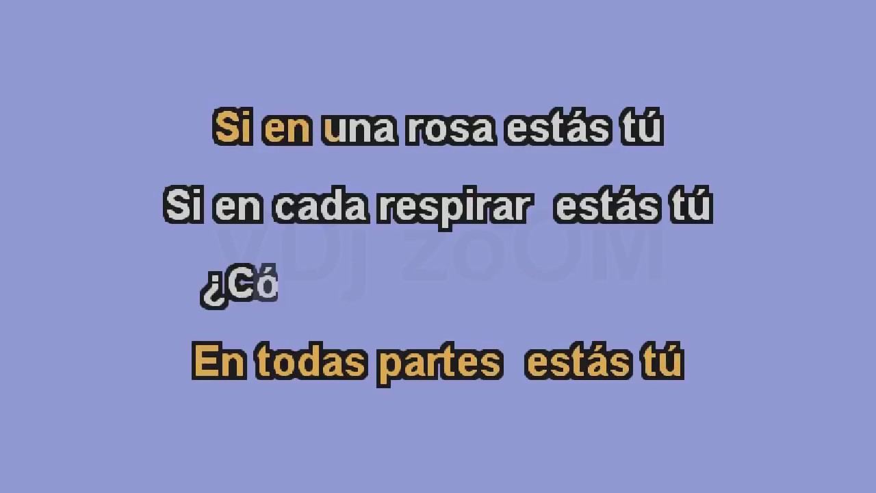 Cumbias Pa´ Gozar Cantando   Angeles Azules Mix