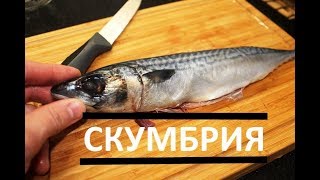 КАК ВКУСНО ПОЖАРИТЬ СКУМБРИЮ #РЕЦЕПТ