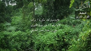 الآية رقم 12 من سورة الشورى - مكررة 7 مرات (علي بن عبدالرحمن الحذيفي)