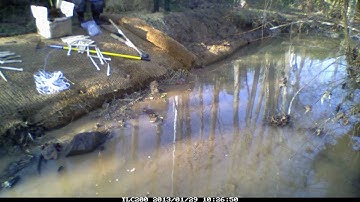 Back Yard Stream Repair:  Coir Log & Coir Matting  Installation