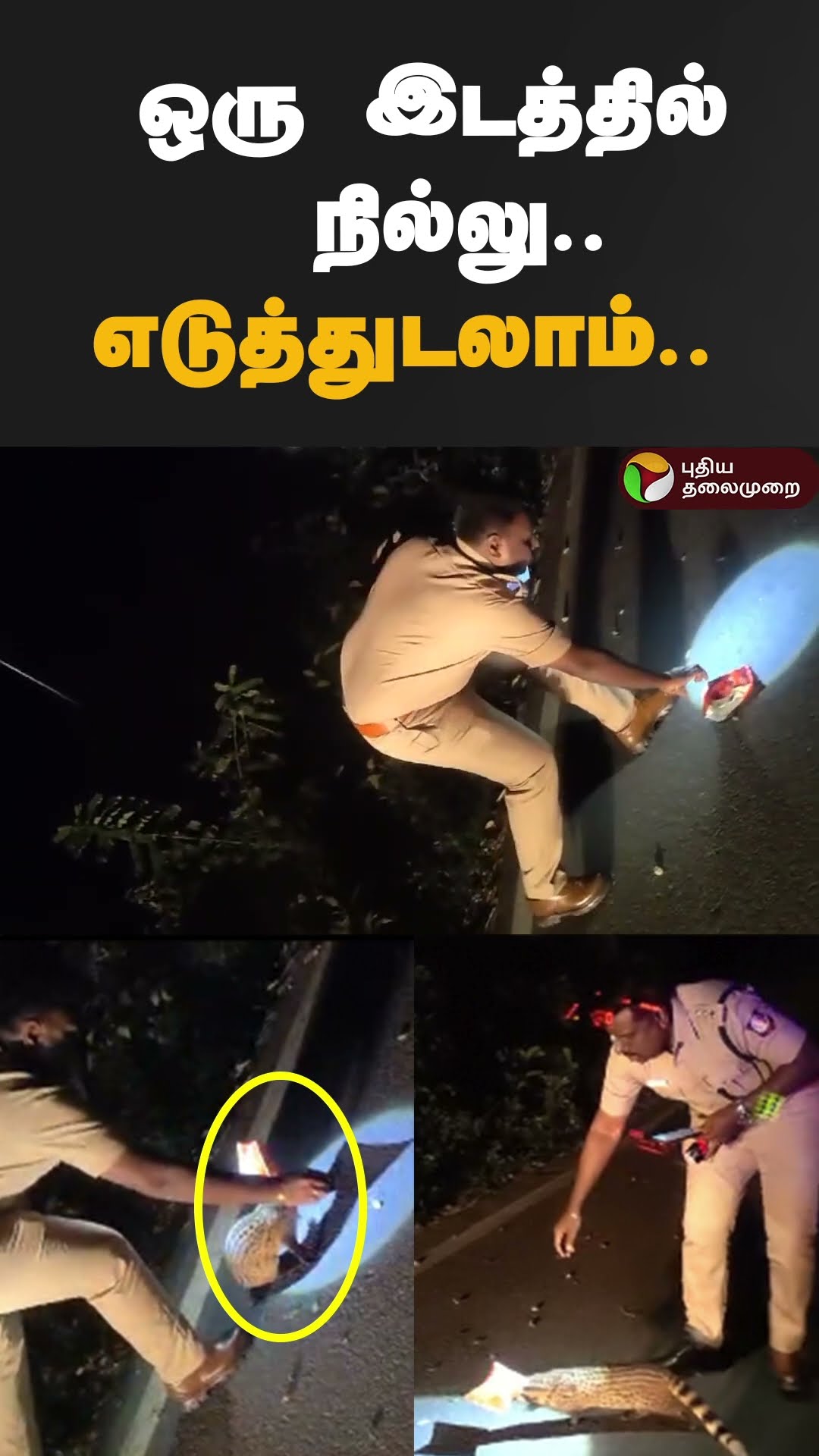 போலீசை அலைக்கழித்த புனுகு பூனை | #shorts | #ooty | #gudalur | #plasticcover