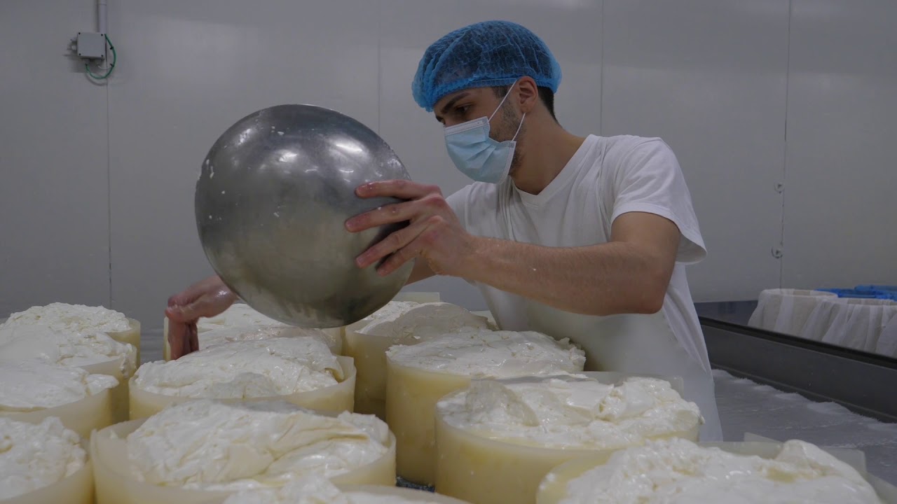Piacere Piemonte. Gorgonzola DOP della Latteria di Cameri