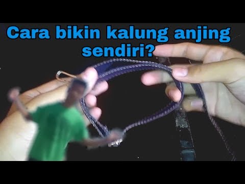 Video: Cara Membuat Kalung Anjing