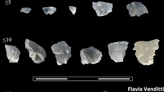 Tiny flakes tell a story of tool use 300,000 years ago