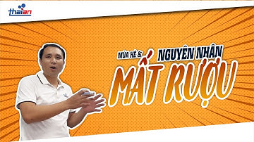 Mùa Hè - Nguyên Nhân Mất Rượu & Cách Khắc Phục l Thiết Bị Thái An